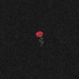 Music | Музыка