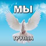 чат Действовать будем МЫ