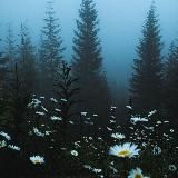 🪷Zarabotok от Алины🪷