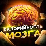 Калорийность мозга