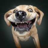 ВЗРЫВ БАШКИ | ЮМОР💥18+