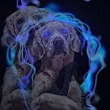 ʍᴏх и ɸᴏᴛᴏ