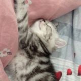 «я люблю»Chattt❤️🔥