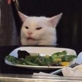 🪴Грядка на высоте