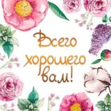 Пожелания хорошего утра,дня,вечера и ночи, открытки