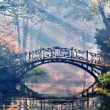 Цитаты / Картины 💥