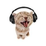 Мусорное кладбище