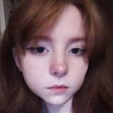 Стегозавр - лучший динозавр