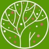 «ВИШНЁВЫЙ САД» ПИТОМНИК РАСТЕНИЙ г.Казань