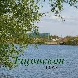 Тацинский район Новости