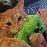 Kapen🟩Stonov | Minecraft