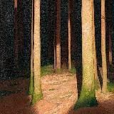 В тёплой ванне