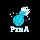 Pena Team