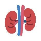 Школа здоровья пациентов с МКБ