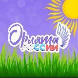 Орлята России | Ставрополье🌾