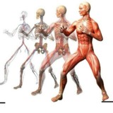 ❗ЛФК ФИТНЕС ДИЕТОЛОГИЯ РЕАБИЛИТАЦИЯ МАНУАЛЬНАЯ ТЕРАПИЯ БИОХИМИЯ