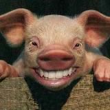 Canal de Memes Malos | Humor y Shitpost