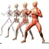 ❗ЛФК ФИТНЕС ДИЕТОЛОГИЯ РЕАБИЛИТАЦИЯ МАНУАЛЬНАЯ ТЕРАПИЯ БИОХИМИЯ