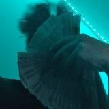 КУШ ЛУДОМАН🤑