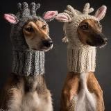 ЧИСТО ПОРЖАТЬ 😂😂😂