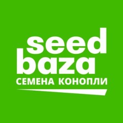 SeedBaza официальный канал