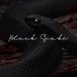 𝗕𝐄𝗔𝐒𝗧𝐒𝗞𝐈𝗘.cls.