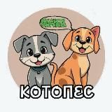 КОТОПЁС - ЗДОРОВЫЙ ПИТОМЕЦ