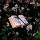 Ⲙы'ⲥⲗυ ⲥⲧⲣⲁⲏ'ⲏυцы ོ