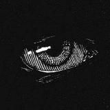 Пётр Ежета по обратному маршруту