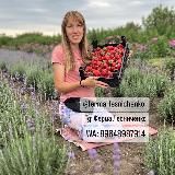 Каталог растений/ферма Лесниченко