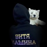 Valuable Players VityaCritical