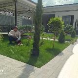 Газон андижон