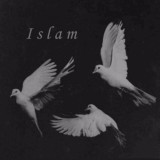 🕊 Islam 🕊