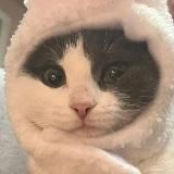 какая-то хурма🐇