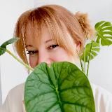 🌿 Kati_plants: комнатные растения СПб