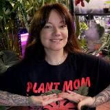 🌿 Kati_plants комнатные растения СПб