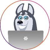 SW_Krasnodar_LIVESTORE