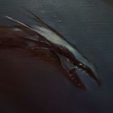 Дно Морское 🌊