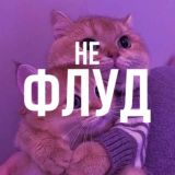 не флуд🐾