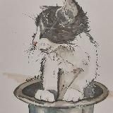 40catsFM🐈🐈⬛️