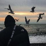 𝐀𝐋𝐓𝐀𝐈𝐑