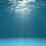 Радио Радонеж Главный Редактор