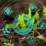 Геомир | История поля | АссистАгро