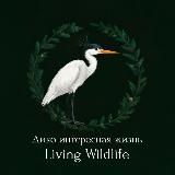 Дико интересная жизнь | Living wildlife