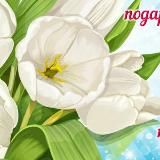 Удивительный Марийский край🌿🌲