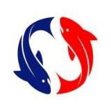 Сеть магазинов Рыбный двор г. Новороссийск