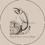 Крабовый Постмодерн