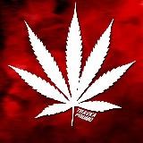 Халява от Травки l CSGORUN / CSGOBAND / CS.FAIL