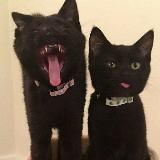 АРХИВ!ромкина подсобка