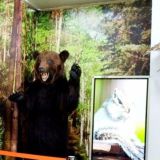 Свободненский краеведческий музей им. Н.И. Попова